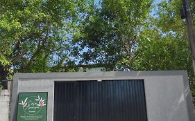 Casa Aroeira Pousada